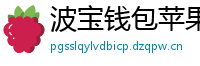 波宝钱包苹果版安装教程